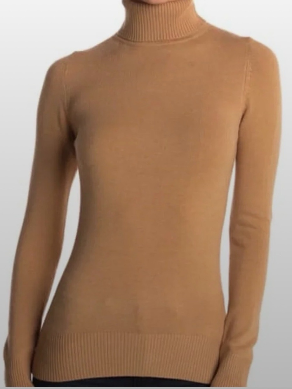 French Connection Camel Slim Turtleneck Sweater